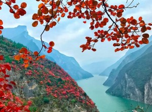 青龙白虎指的是什么意思