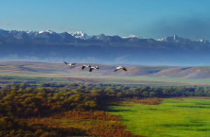 艮卦为山什么意思