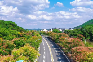  辛金身弱如何改善