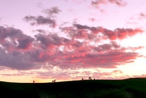 天梁拱月格适合做什么