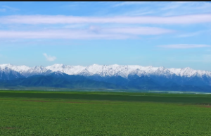 八字中型灾的区分