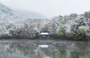 海中金命可以带玉吗