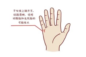 手相能看得出有几个孩子命吗