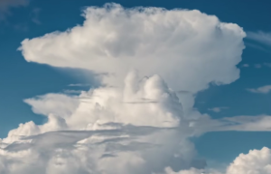 紫微斗数中四化是什么意思