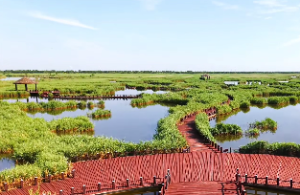 寅巳申三刑遇什么为吉