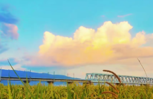 钗钏金忌讳什么