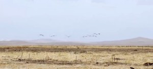 食神在地支是怎样的?