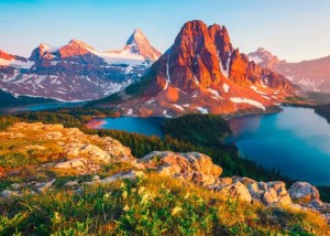 阴宅风水论案山
