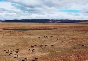 二曜同临格,命宫空宫