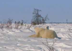 八字怎么看婚姻状况？