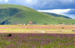 土命和水命在一起好不好