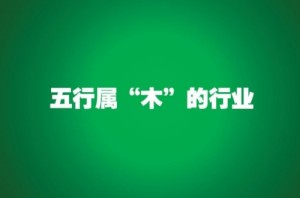 五行属木的行业