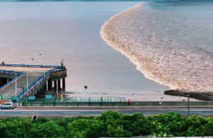 井泉水命什么意思