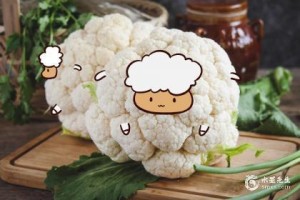 79年女属羊人