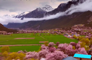 犯婚煞的女人有什么特征