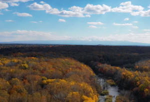 四柱八字如何看流年发生的事