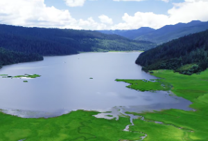 合婚有哪几种方法