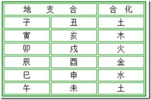 什么是地支六合