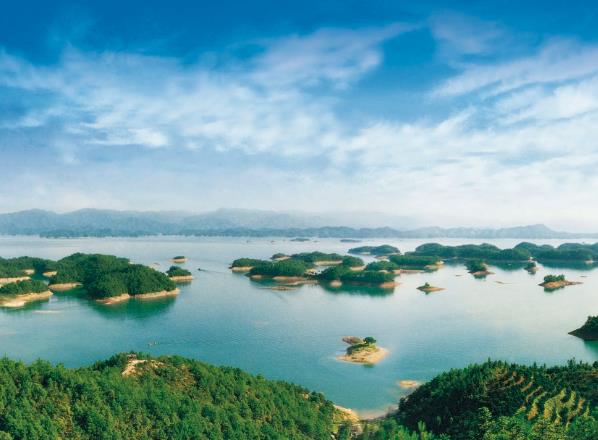 坟地风水禁忌