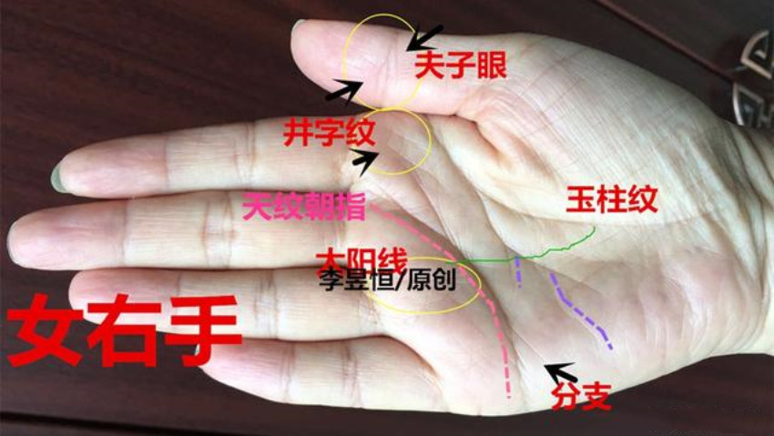旺夫厉害的女人手相 五指并拢整齐方正有排序