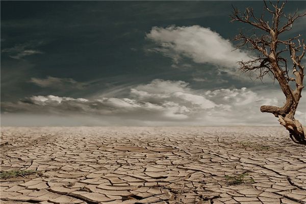 梦见荒地是什么意思 梦见荒地是什么意思